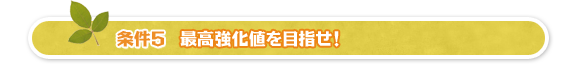条件5、最高強化値を目指せ!